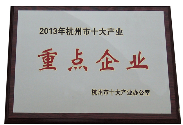 2013年十大產業重點企業